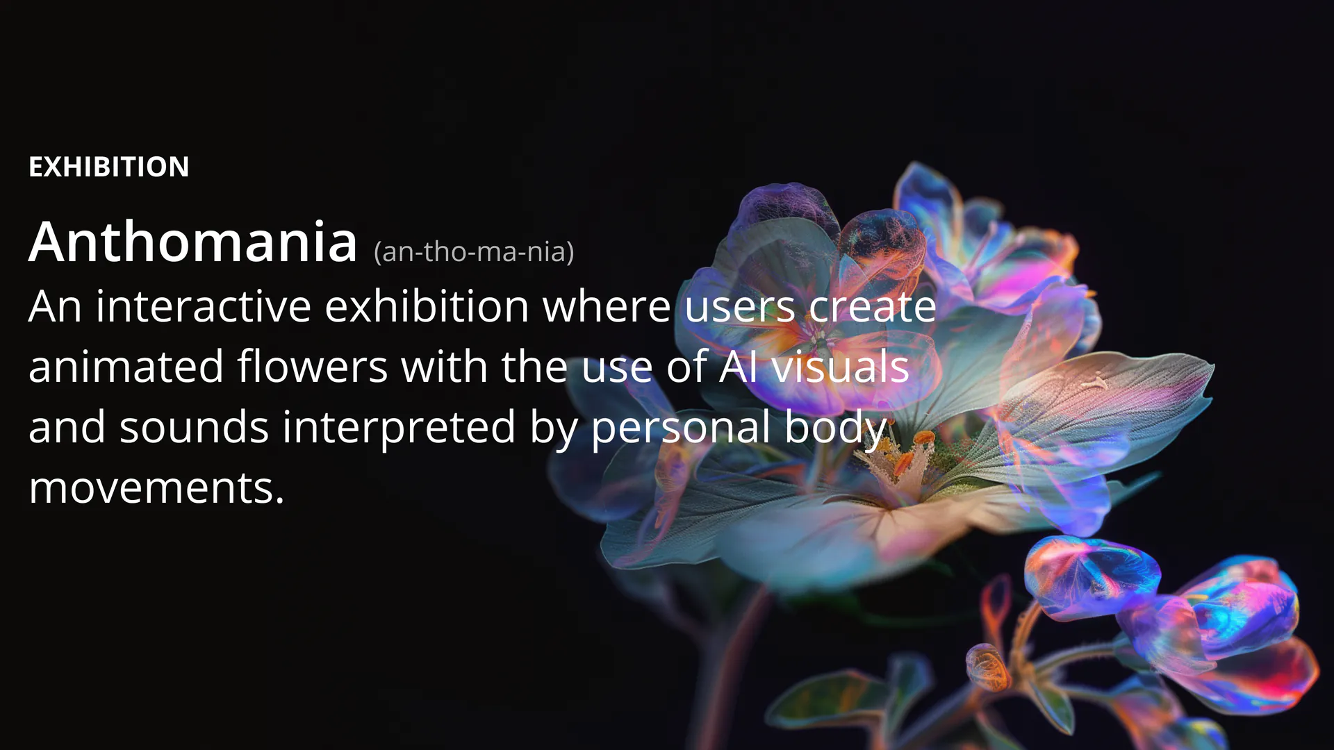 Anthomania: Digital Identity — slide 1