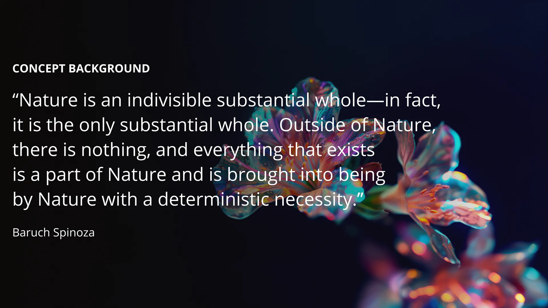 Anthomania: Digital Identity — slide 2