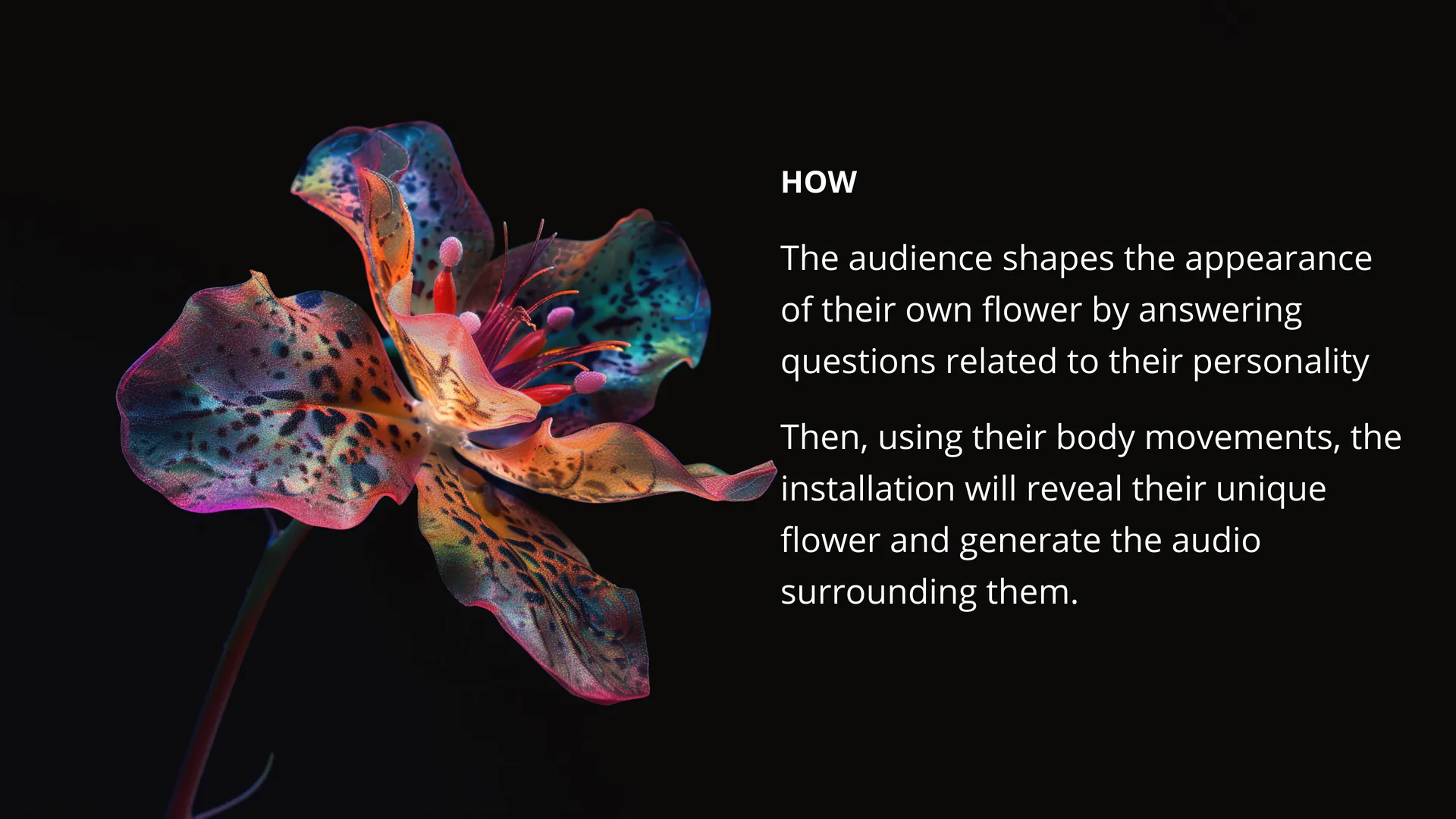 Anthomania: Digital Identity — slide 3