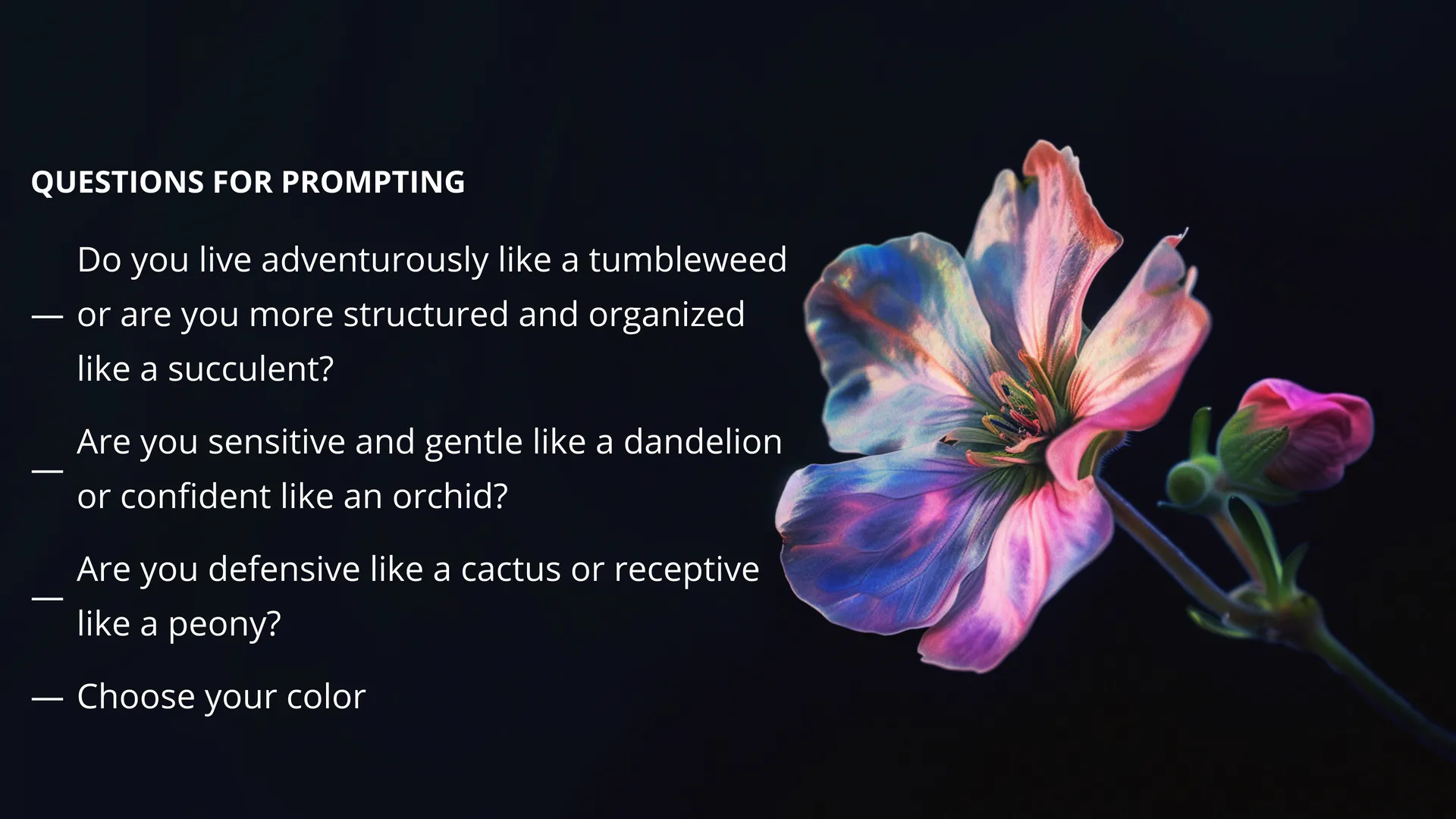 Anthomania: Digital Identity — slide 4