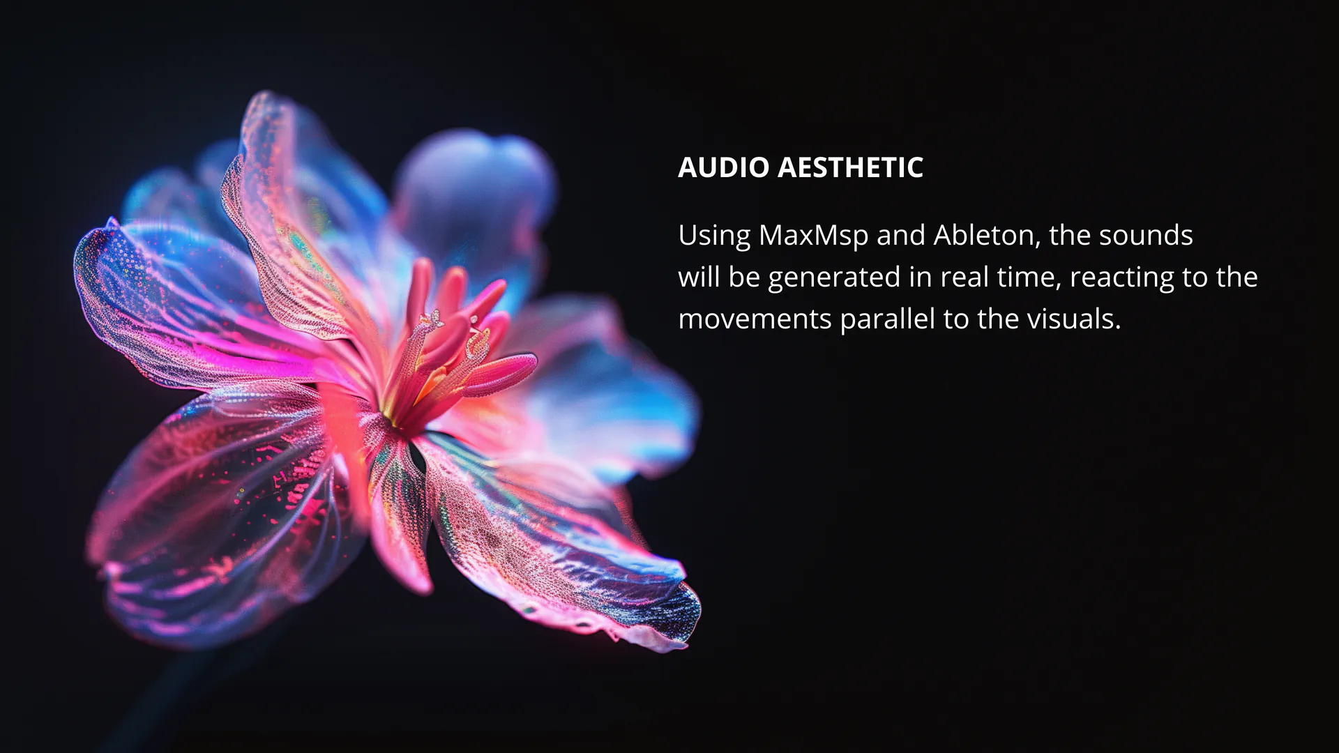 Anthomania: Digital Identity — slide 9